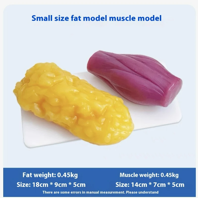 Réplicas de Músculo y Grasa Hu - Nutrition Fitness And Health reseña y precio